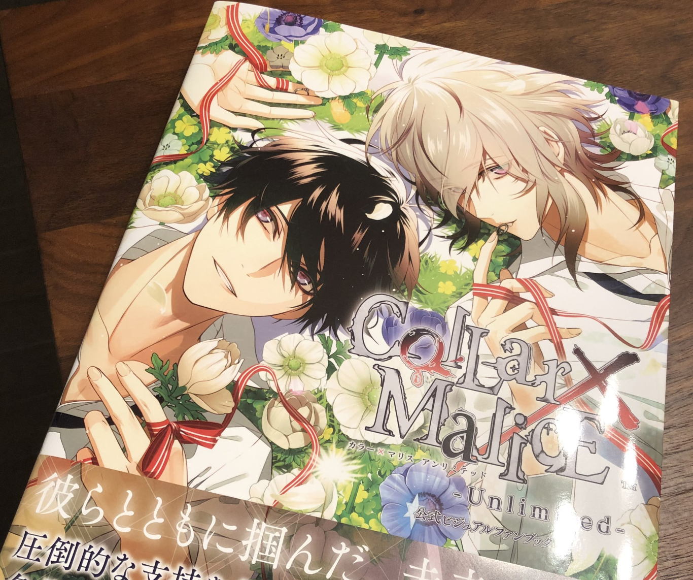 Collar X Malice オフィシャルブック ColLar x Malice Official Visual Fan Book B\u0027sLOG COLLECTION KADOKAWA